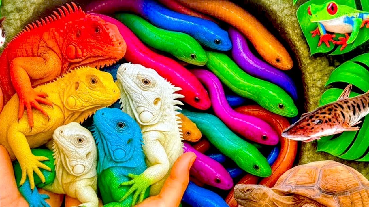 Первая ночь выпускных экзаменов для учеников 3-го класса средней школы в 2025 году с г-ном Мохаме...