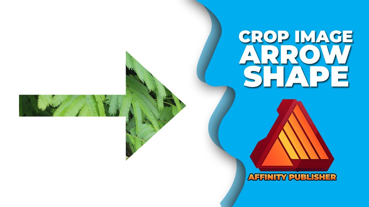 How to crop image into arrow shape in affinity publisher - YouTube