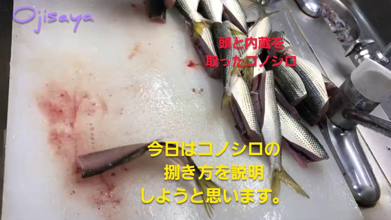 プロの技 コノシロの捌き方 早技 ついに編集作業に成功 魚をさばく 早技 コノシロ コハダ Youtube