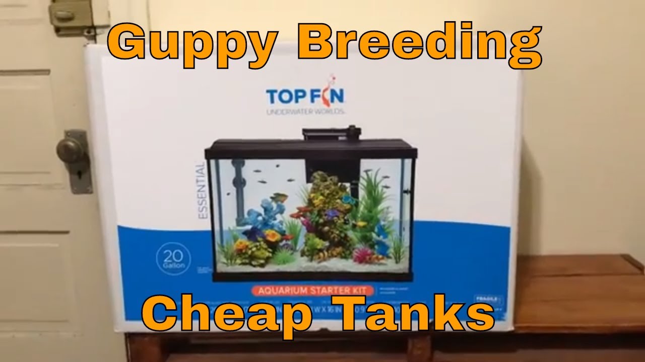 Top Fin 20 Gallon starter Kit was on sale only 47.50 So I bought 2 for