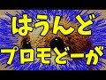 動画紹介！