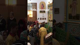 Тебе, Господи воздаю славу и почести! Николай Сербский. ☀️🌈🕊