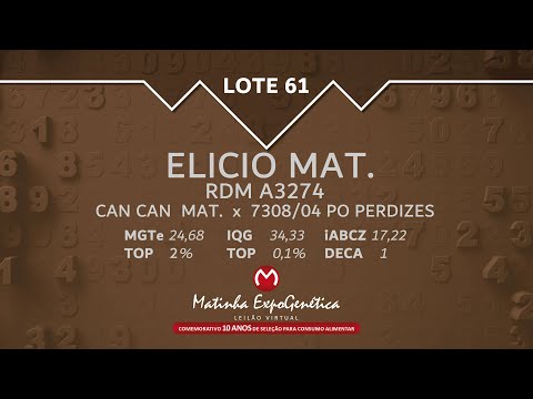 LOTE 61 MATINHA EXPOGENÉTICA 2021