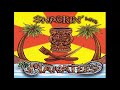 The Manatees - The Model (Kraftwerk Surf Instrumental Cover)