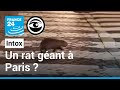 Un rat gant dans les rues de paris   les observateurs  france 24