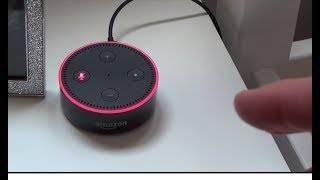 How to FORCE Amazon Echo to Update to the latest Software Version screenshot 4