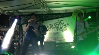 Dear Jane - Yellow Fever