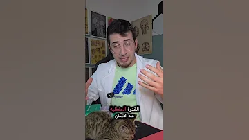 حفظ مواد لطلاب المدارس والجامعات بوقت قصير طب الذاكرة وقت الفحص هي طريقة تقنية بومودورو Pomdoro 