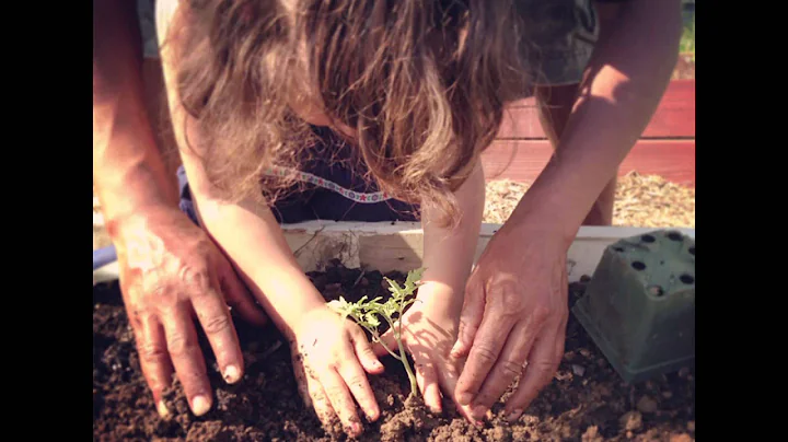 Youth Empowerment Through Urban Agriculture | Lisa...