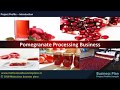 Pomegranate Processing Business