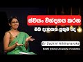 ස්වයං වින්දනය කරන ඔබ දැනගත යුතුම දේ / Dr Sachini Aththanayaka