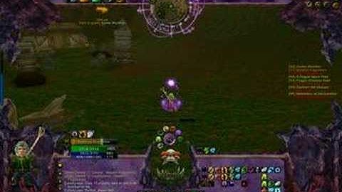 Wow Warlock User Interface