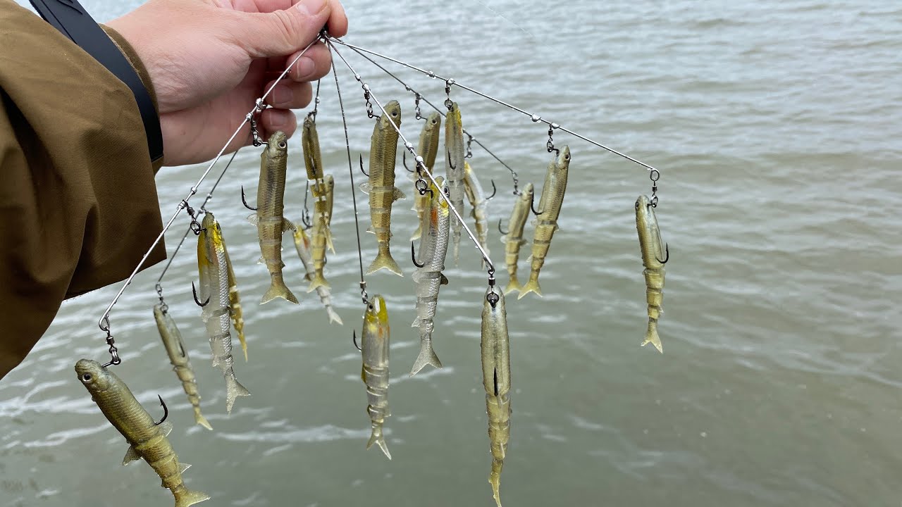 【これが現実】春の琵琶湖で一日中デカバスだけを追い求めた結果がこちら…