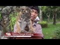 Tumpek Kandang di Bali Zoo