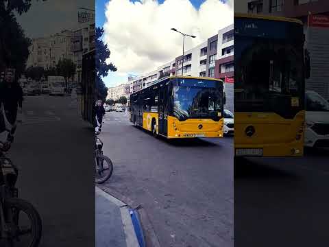 الجزائر   المغرب الجزائر تونس