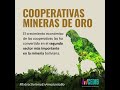 Clip: Cooperativas mineras de oro