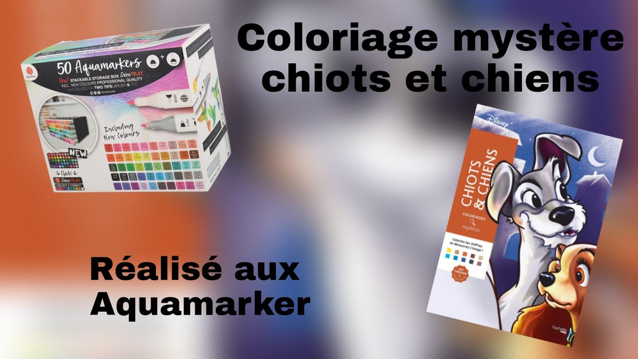 Coloriage Mystere Disney Chiots Et Chiens Speed Coloring Youtube