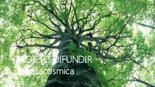 11 Cântico para a Deusa - Claudiney Prieto