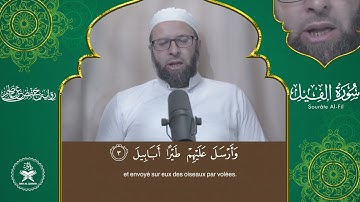 Sourate 105   Al Fil     Hafs   سورة الفيل برواية حفص عن عاصم
