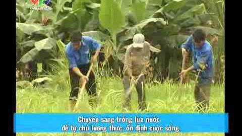 Truyền hình tiếng dân tộc - Người Raglay