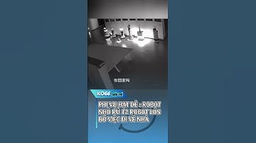 PHI VỤ HẠT DẺ : ROBOT  NHỎ RỦ 12 ROBOT LỚN BỎ VIỆC ĐI VỀ NHÀ #ko66 #ko66giaitri #giaitri
