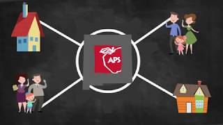 Understanding the APS Budget
