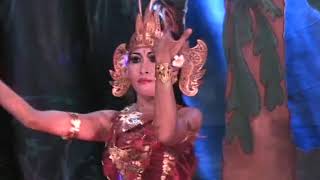 TARI JANGER