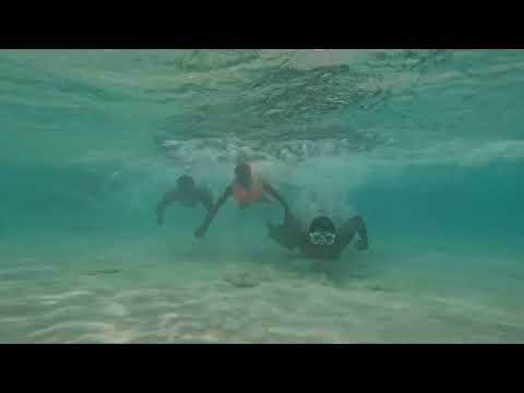 WASINI 3 - GO PRO