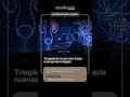 Trasplante renal mira hacia nuevas tecnologías