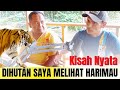 🔴 KESAKSIAN DAMIN SAAT BERPAPASAN RAJA RIMBA GUNUNG WILIS || Potcast De-En'A