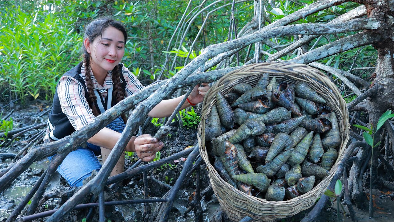 Find Sea Snail In Mangrove Shrub For Cooking - My Two Brothers Like This Sea Snail Meat So much