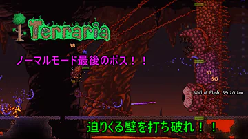 Terraria Calamity Mod 2.0 - All Bosses Showcase on Master Malice FTW 