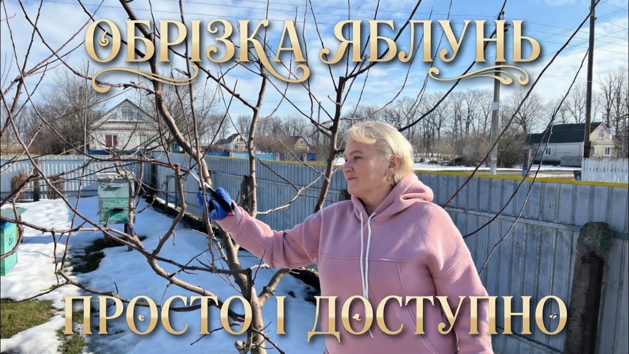 Обрізка яблунь.🍎Без заморочок.🌳