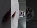 Анатолий Алексеевич Клёсов.