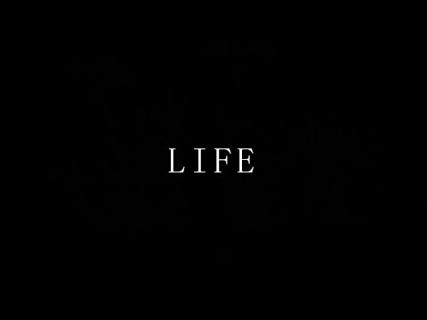 【ひびちー】LIFE 踊ってみた【誕生日】