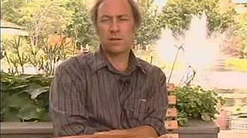 Neil Slade  Brain Magic- Tickle Your Amygdala