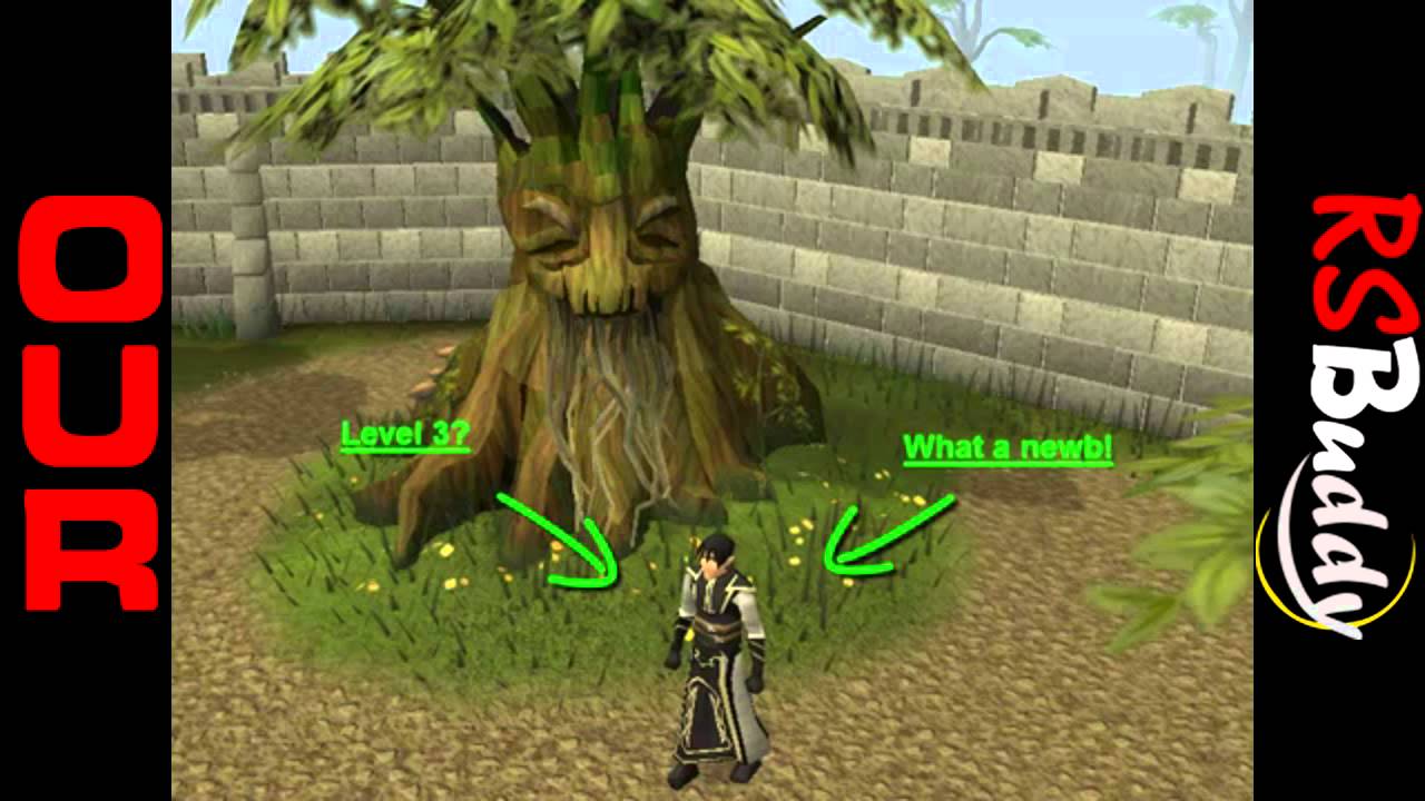 New Director | ExtremeBotting