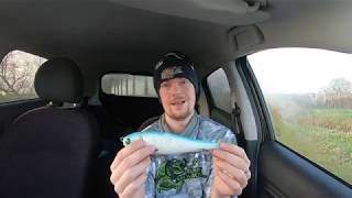 Musky Innovations Softbait Stinger Magnet Christian Drost 1