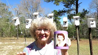 Putting Up more Bluebird Houses redoing some old ones they like these. In Ga. by helen wyatt 11,955 views 2 years ago 1 hour, 4 minutes