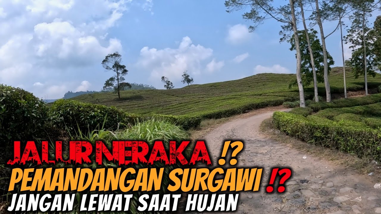 Jalur Rancabali (Ciwidey) Cipelah Padasuka Sampai Cimaskara