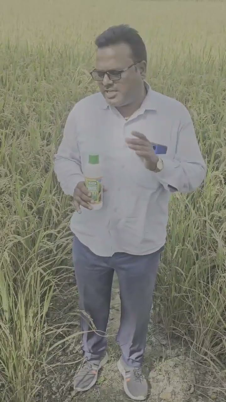 कुशीनगर के किसान ने नैनो यूरिया के बताए कैसे फायदे  | वनइंडिया हिंदी