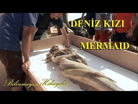 #DenizKIZI #Mermaid gerçek görüntüler