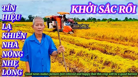 BẤT NGỜ CHUYỂN ĐỘNG LẠ ÂM THẦM KHIẾN NHÀ NÔNG THỞ PHÀO NHẸ NHÕM|Giải Trí Miền Tây