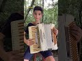 #música caipira #música viola #música sanfona  #modao sertaneja #música raiz