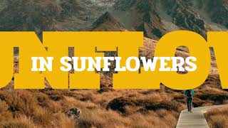 Sunflowers for Dacey • Collaboration & Auction