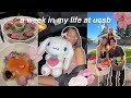 Busy week in my life  ucsb vlog meeting new friends celebrating valentines productive days