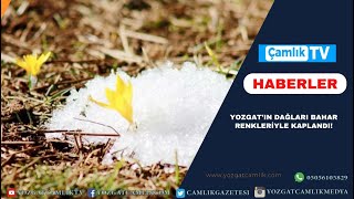 Yozgat’in Dağlari Bahar Renkleri̇yle Kaplandi Resimi