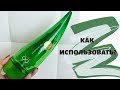 Как использовать гель алоэ?