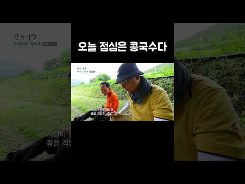 농사일 후에 새참으로 먹는 콩국수 #shorts