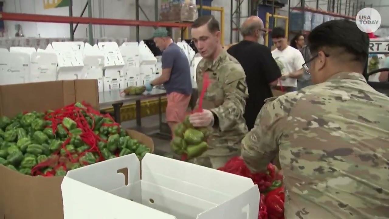 Национальная гвардия Калифорнии оказывает помощь продовольственным банкам Лос-Анджелеса в связи с...